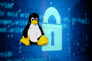 Linux security